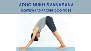 Adho mukha svanasana yoga pose
